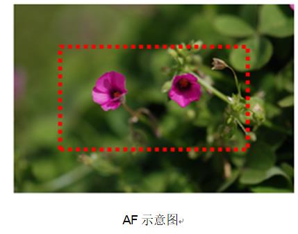 网络高清视频监控系统 标准化解决方案 网络高清视频监控系统 标准化解决方案
