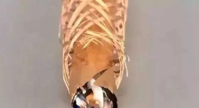 如何区分：屏蔽网线、双绞线、超五类双屏蔽网线的作用？