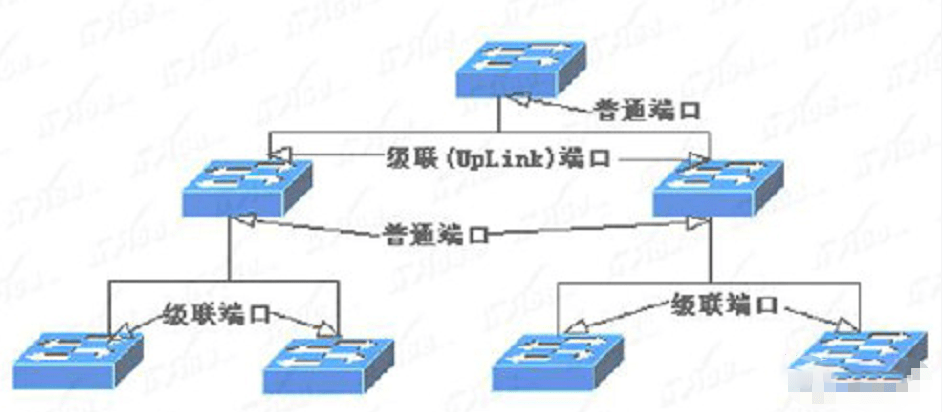 路由器交换机组网
