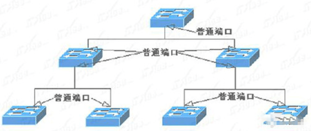 路由器交换机组网