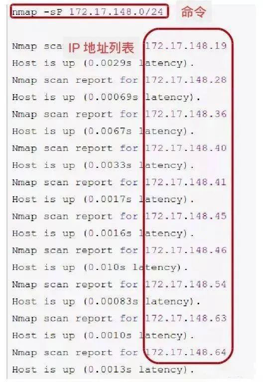 查询局域网内在线弱电设备IP地址的方法